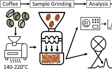 Mid-Infrared Spectroscopy and Machine Learning for Chlorogenic Acid Quantification in Coffee