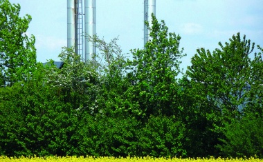 Mehr Ressourceneffizienz durch biotechnologische Verfahren in der stoffumwandelnden Industrie