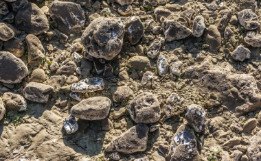 Schwermetallabscheidung aus Klärschlammaschen