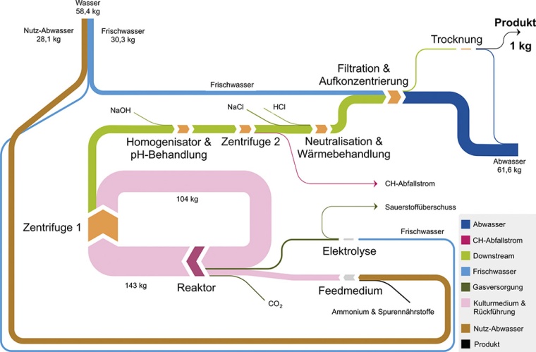 Schematische Darstellung des Microtein-Gesamtprozesses. Erstellt mit...