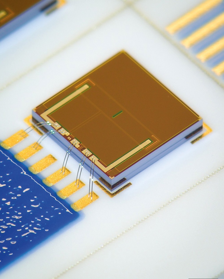 Ionensensitiver Feldeffekttransistor (ISFET) des Fraunhofer IPMS. © Fraunhofer...