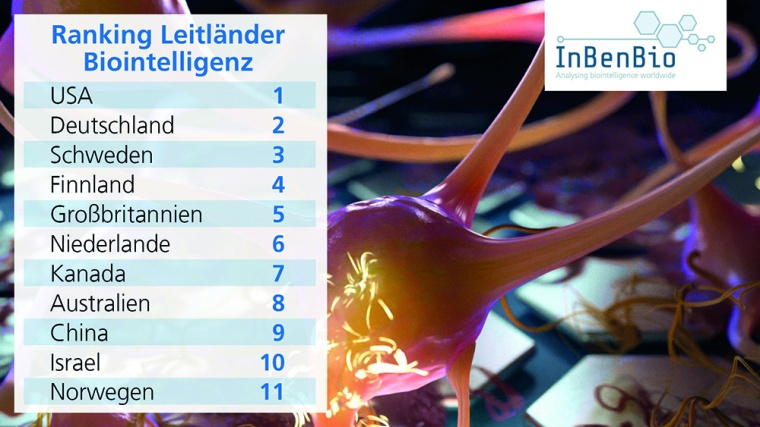 Ranking Leitländer Biointelligenz © Projektteam Benchmark Biointelligenz