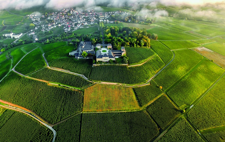 Abb.: Seit über 1200 Jahren wird auf dem Johannisberg Wein angebaut. Seit...